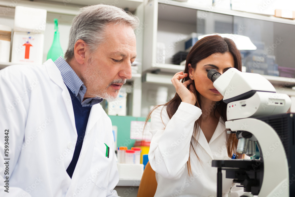 Obraz premium Scientists at work in a laboratory