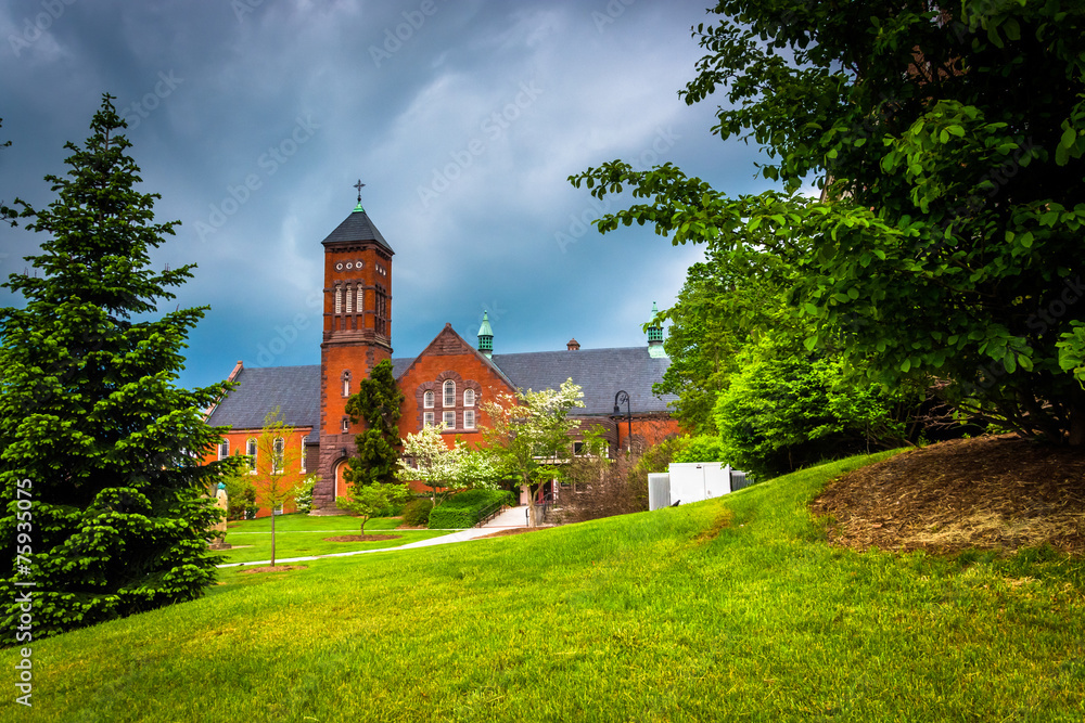 Fototapeta premium Trees and the Kline Theater in Gettysburg, Pennsylvania.