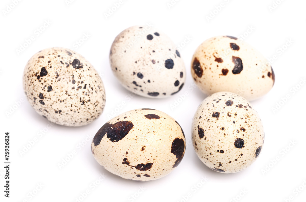few quail eggs few quail eggs