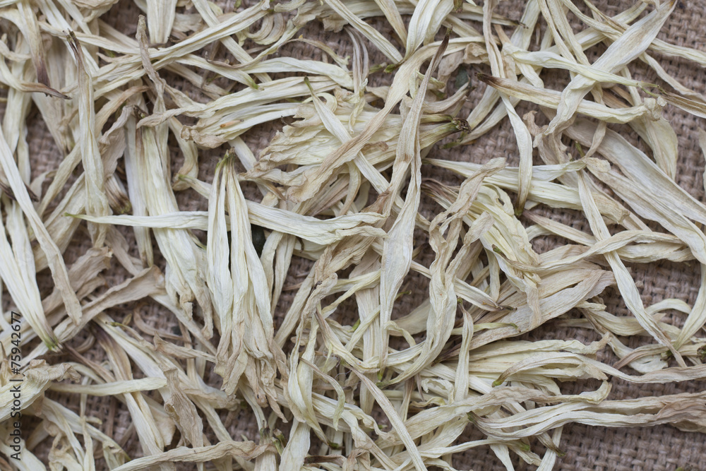 Dry foliage. Herbarium. Background. Photo.