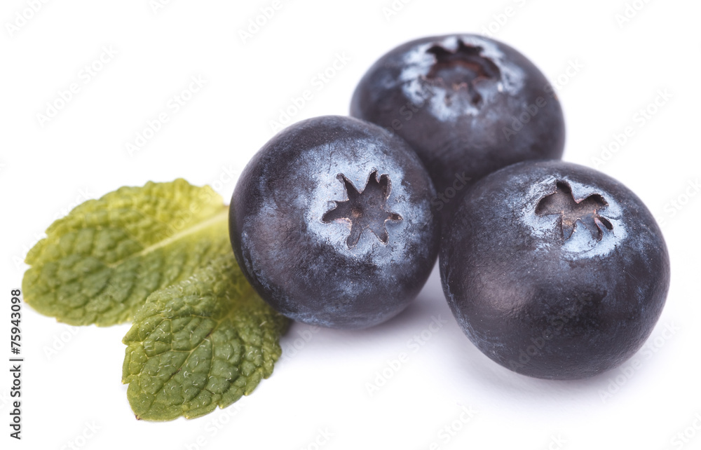 blackberry blackberry