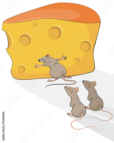 Rat with cheese