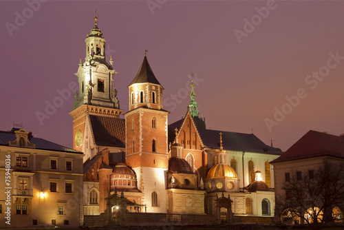 Night view of the cathedral , Krakow, Poland