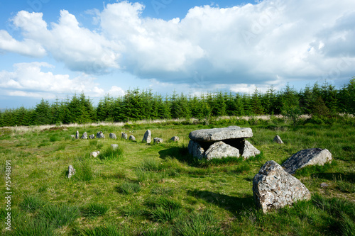 Burial cist and stone row Bellever Dartmoor Devon Uk