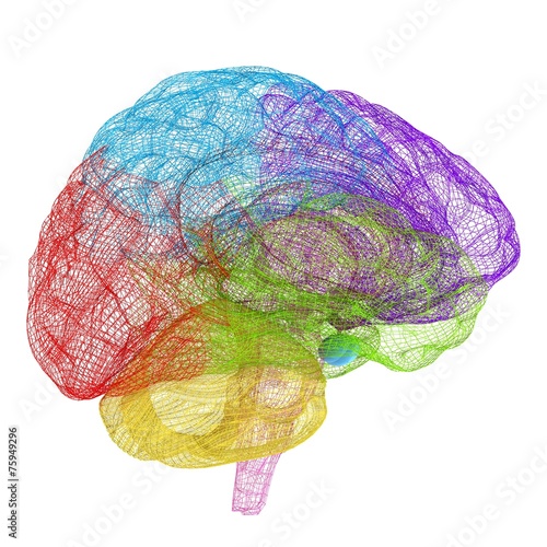 Creative concept of the human brain