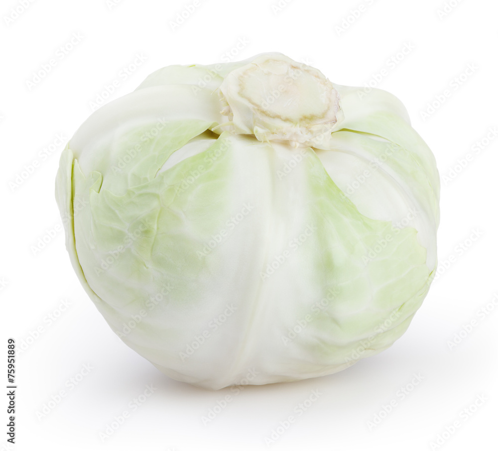 White cabbage isolated on white background with clipping path White cabbage isolated on white background with clipping path