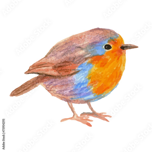 pencil sketch seamless pattern with flowers and bird robin