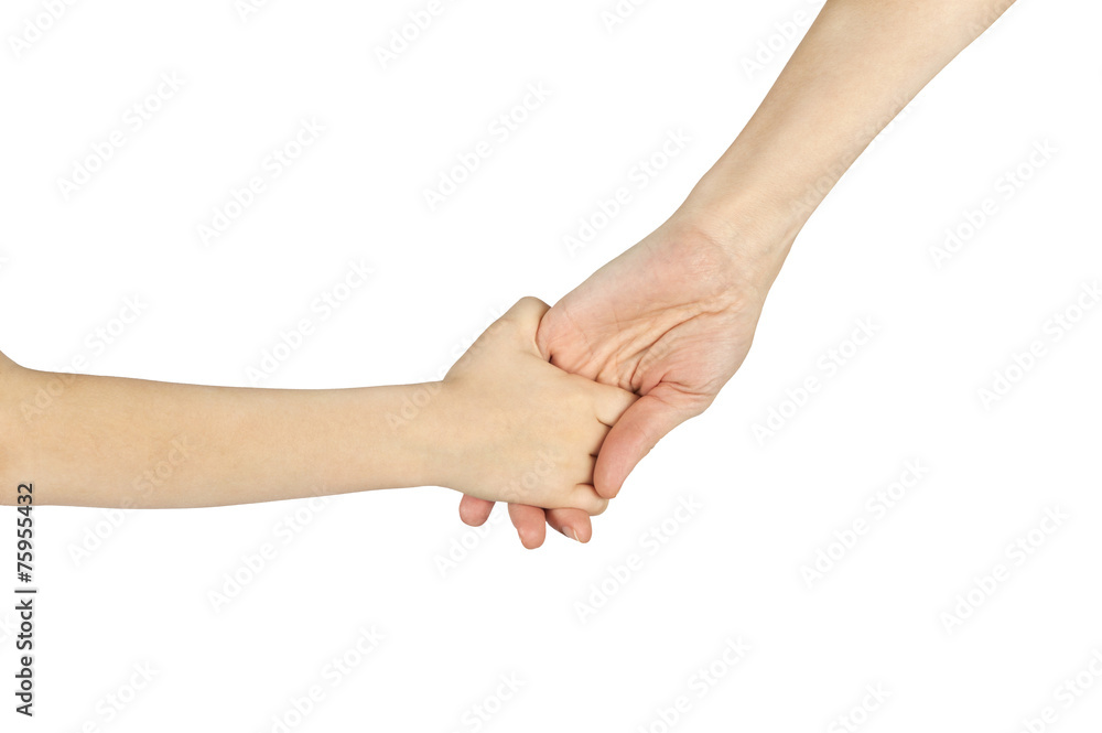 child and adult female hands holding each other isolated over wh
