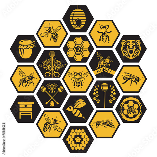 labels with bee and honey on black background