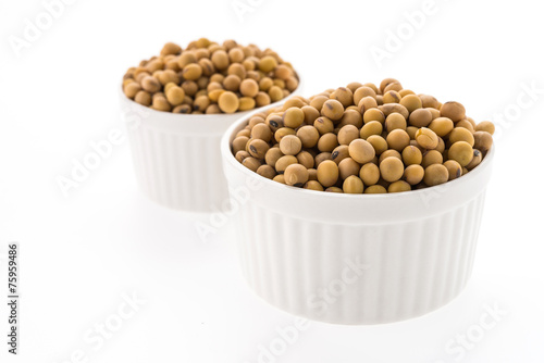 Soybean isolated on white background