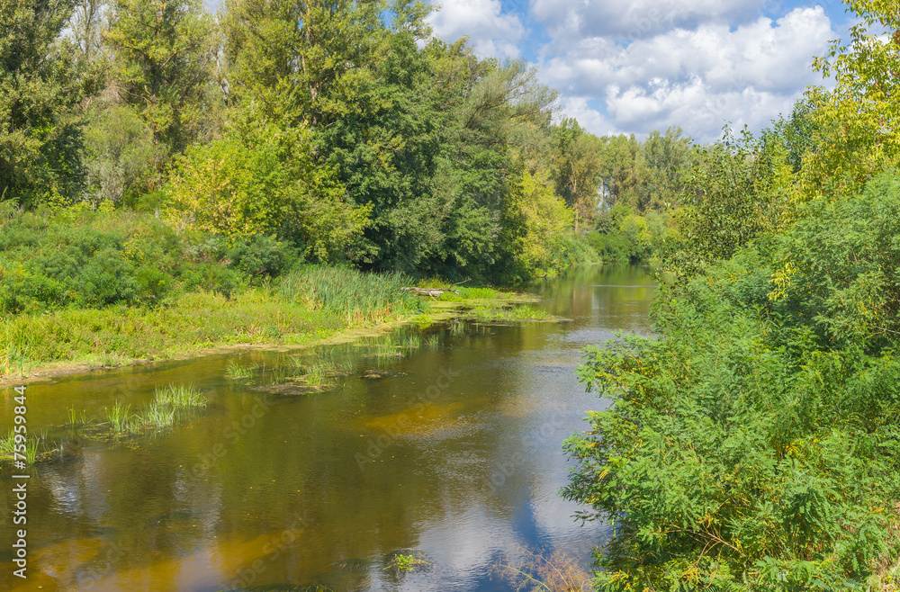 Ukrainian river Vorskla at summer season