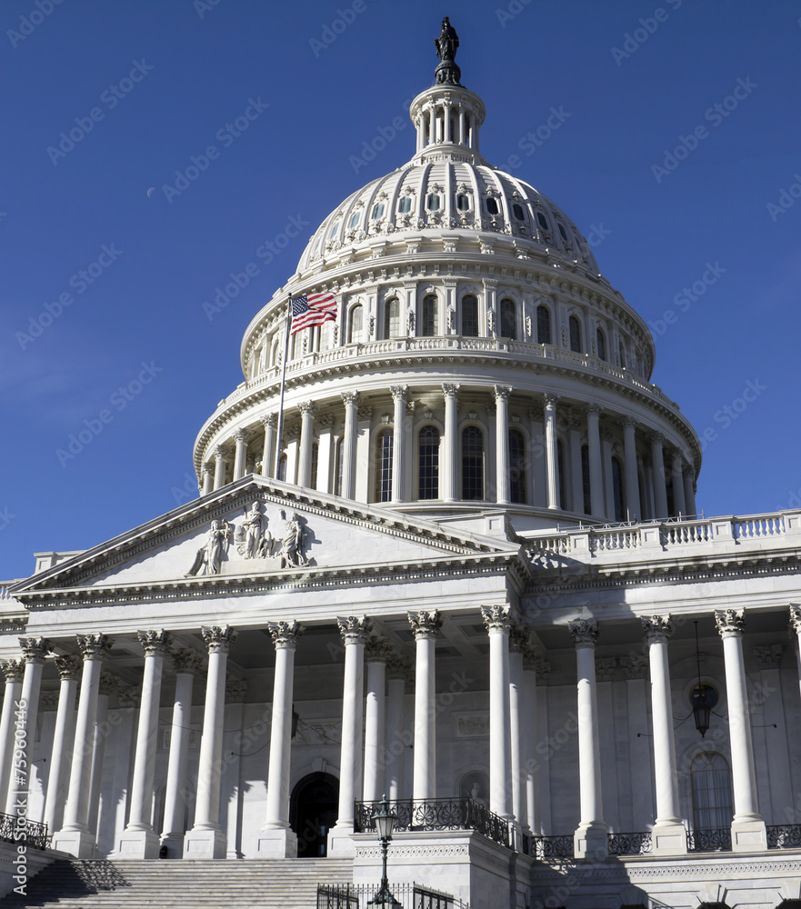 Fototapeta premium Washington, DC. Capitol USA
