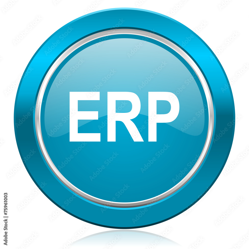 erp blue icon