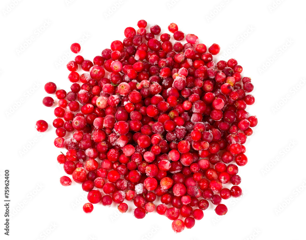 cowberries isolated on white cowberries isolated on white