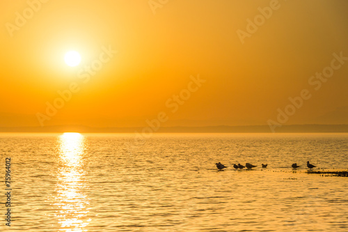 Obraz na płótnie Sunset w salonie