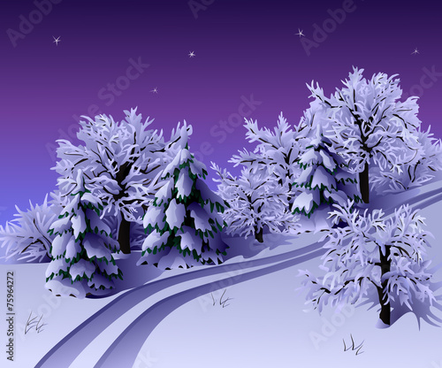 Winter night landscape with trees and road