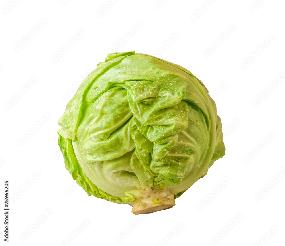 Headed out young cabbage on a white background isolated Headed out young cabbage on a white background isolated