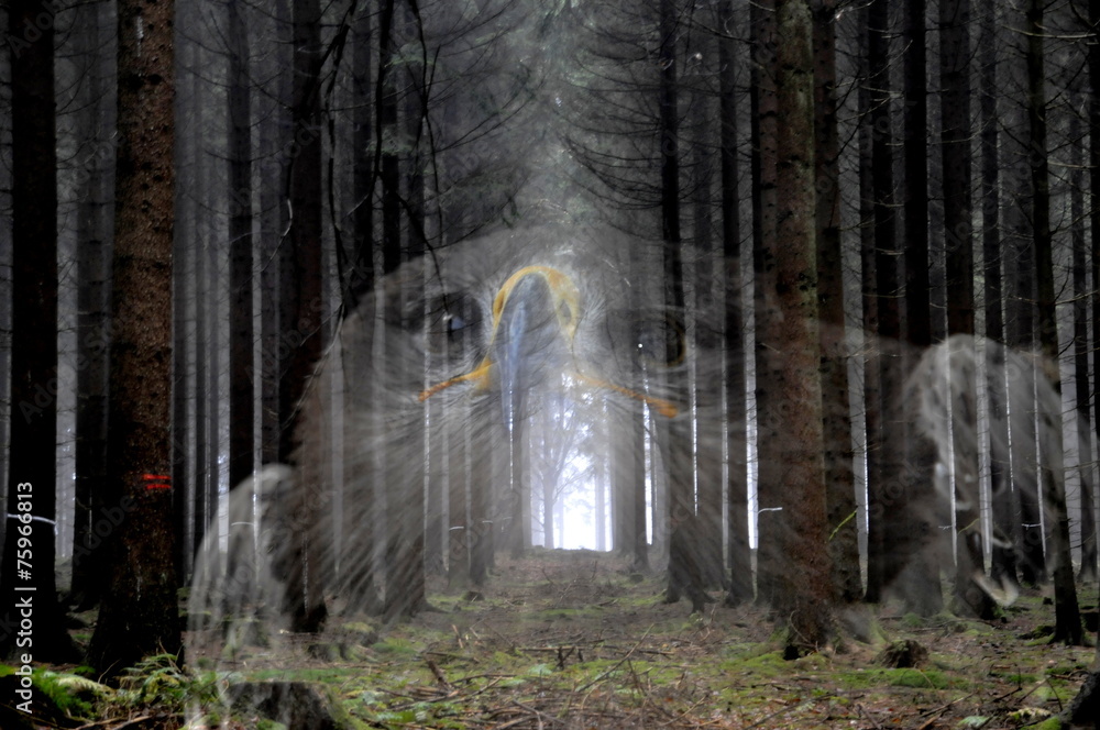 Obraz premium auf der hut