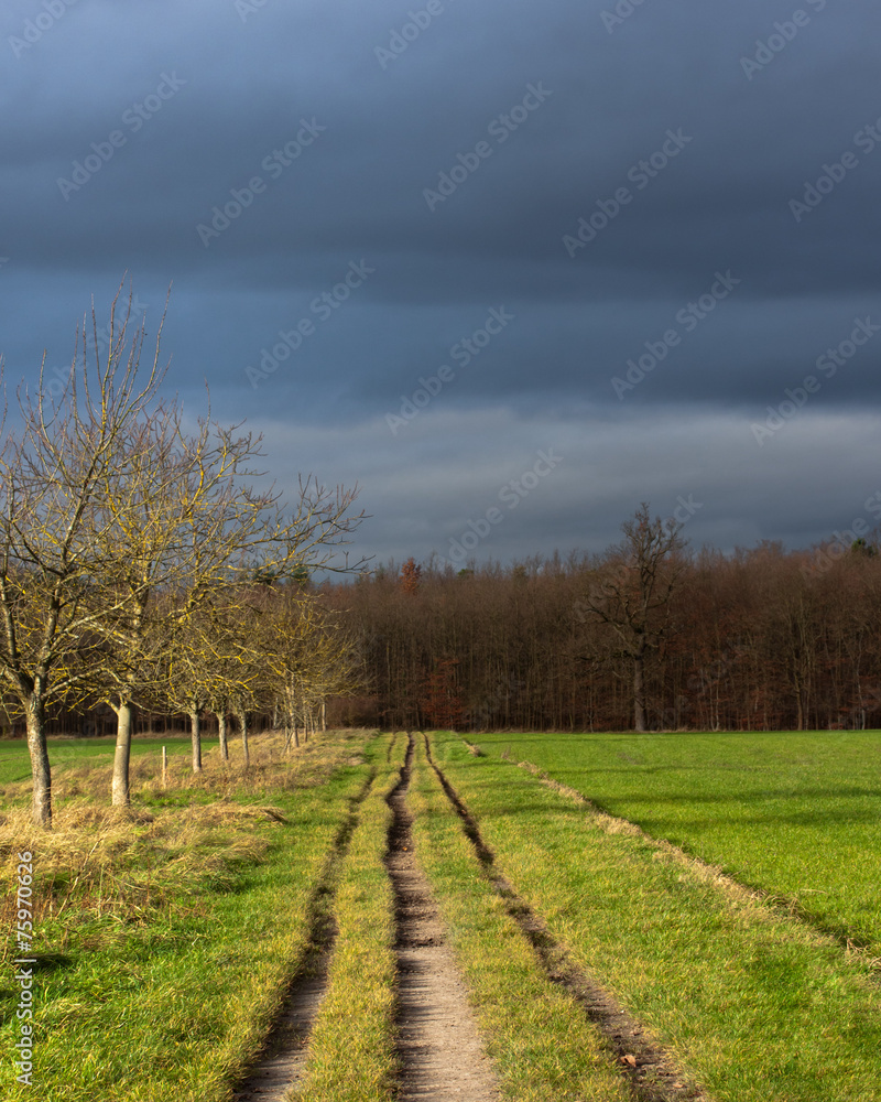 Feldweg Feldweg