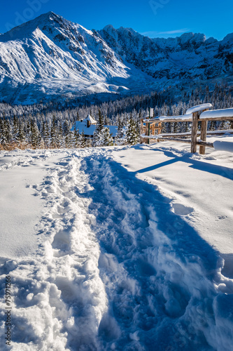 Snowy path to the winter sh...