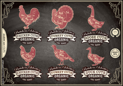 diagram cut carcasses chicken, turkey, goose, duck