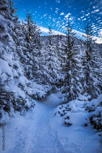 Winter mountain trail at su...