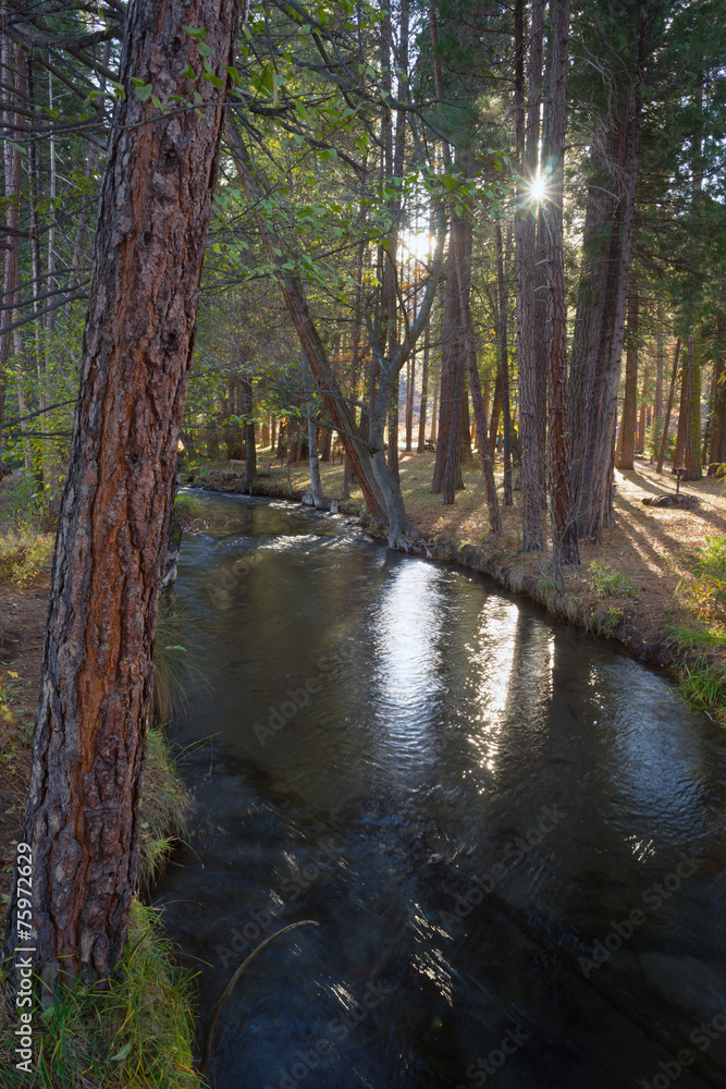 Obraz premium Fast Moving Stream Hat Creek Lassen National Forest