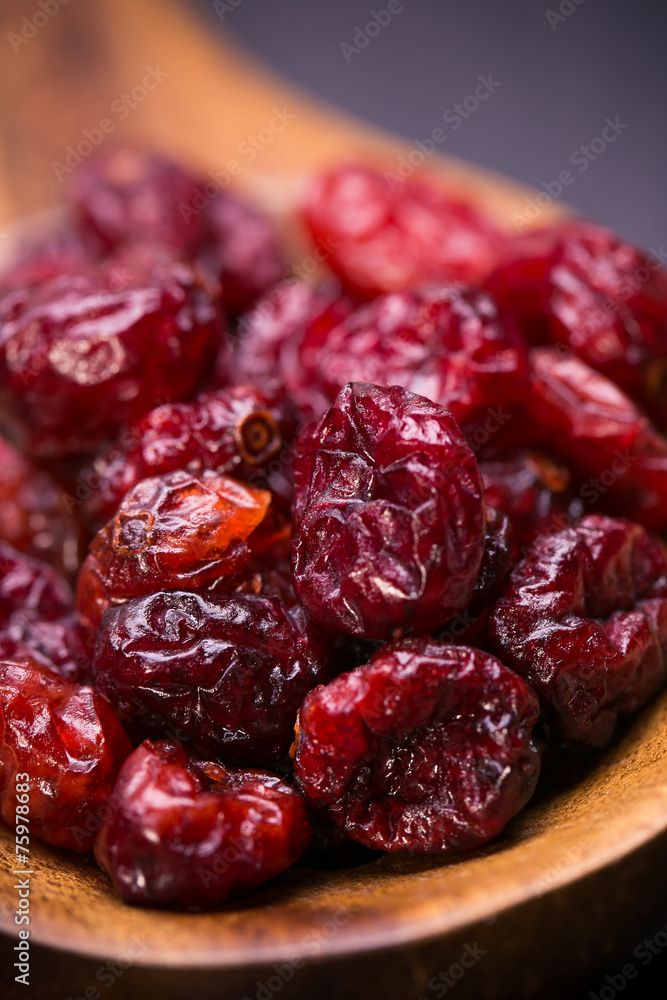 dried cranberries in a wooden spoon.fruit full of vitamin c. dried cranberries in a wooden spoon.fruit full of vitamin c.