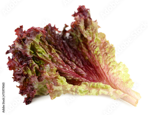 Red lettuce isolated on white