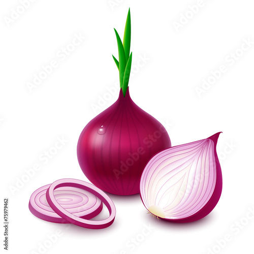 Red onion on white background