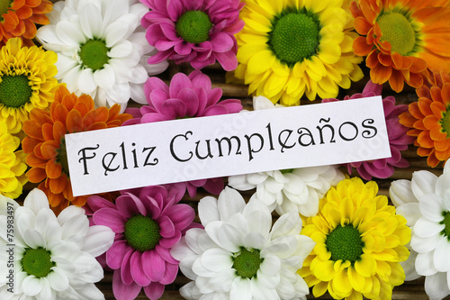 Feliz cumpleanos (happy birthday in Spanish) with flowers © graletta