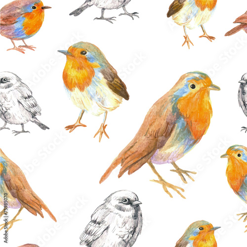 pencil sketch seamless pattern with bird robin and sparrow