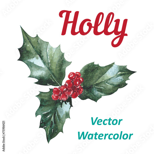 Holly berry icon Christmas symbol Vector