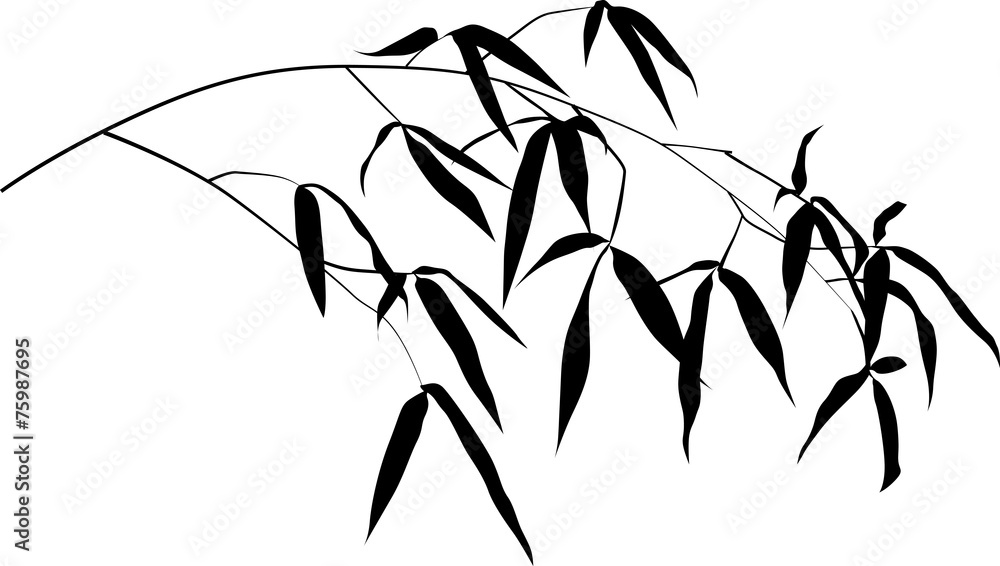 Fototapeta premium black bamboo single branch isolated on white