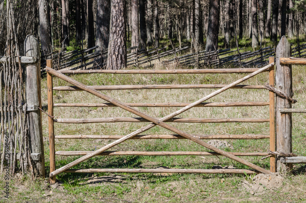 Wooden fence in the spring in the countryside