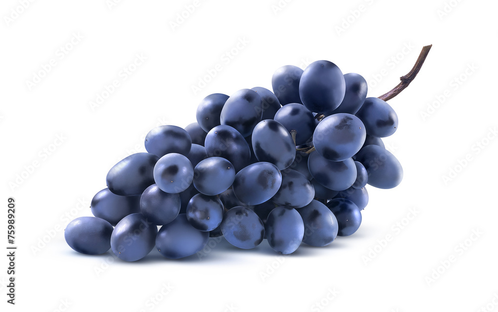 Fototapeta premium Blue grapes bunch no leaf isolated on white background