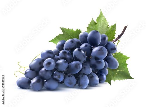 Blue grapes bunch with leaf isolated on white background