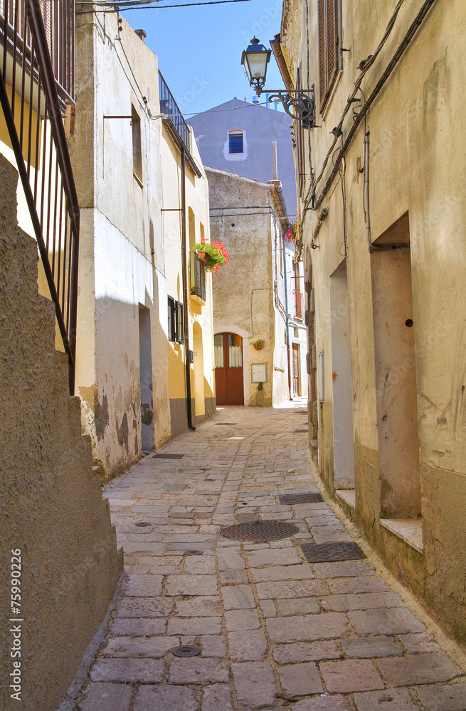 Obraz premium Alleyway. Acerenza. Basilicata. Italy.