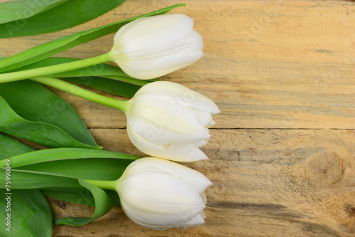 White tulips on old wooden background