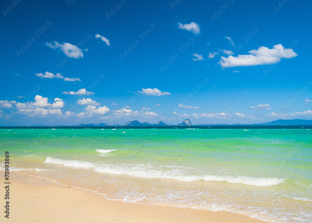 On a Beach Shore Landscape