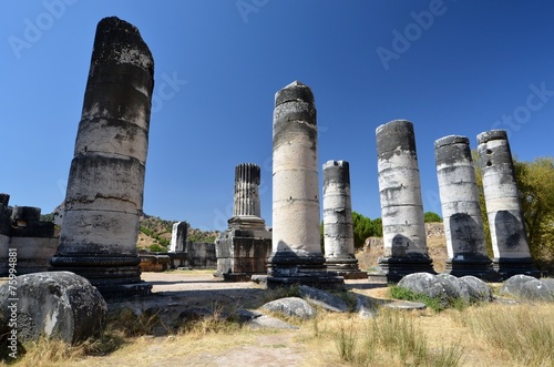 Temple of Artemis in Sardis photo