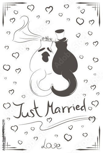 Couple of just married cats
