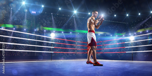 Professionl boxer is standing on the ring