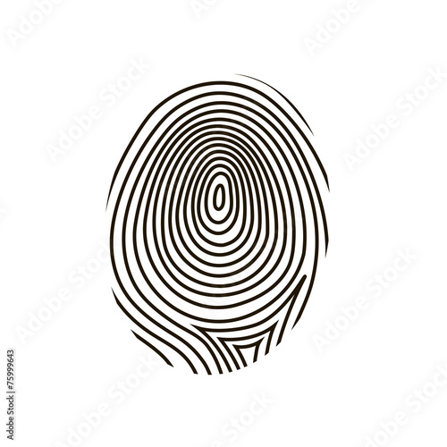 Fingerprint vector
