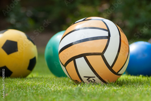 Collection of Four Balls in Grass