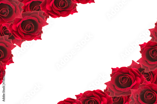 red roses frame background