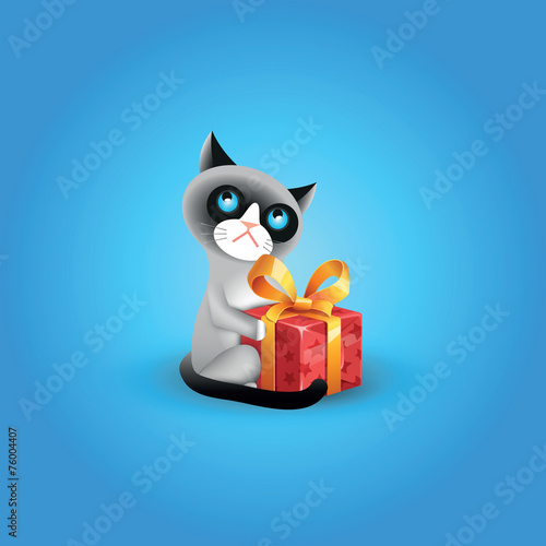 Vector illustration of cranky cat with red gift box and blue bac