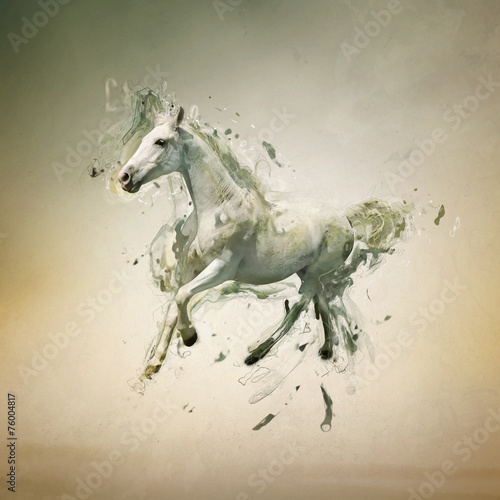 White horse in motion, abstract animal concept © PureSolution