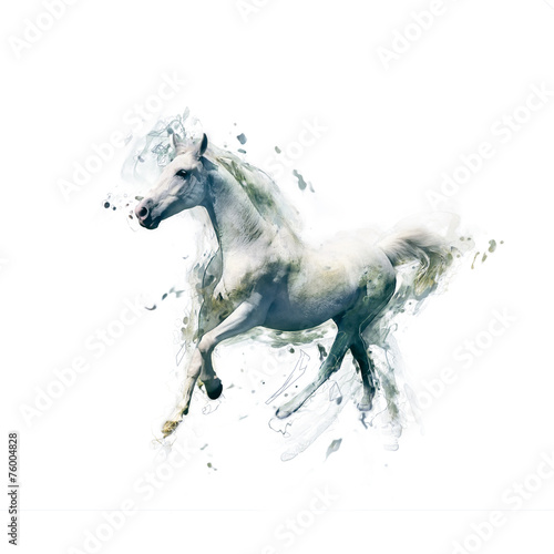 White horse, abstract animal concept isolated on white