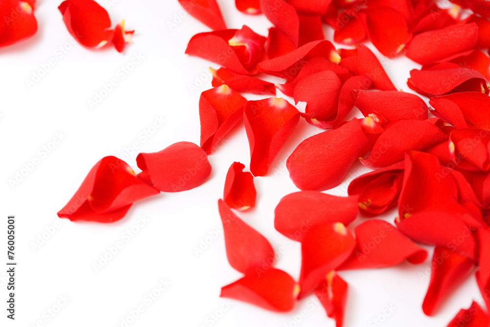 Petals Petals